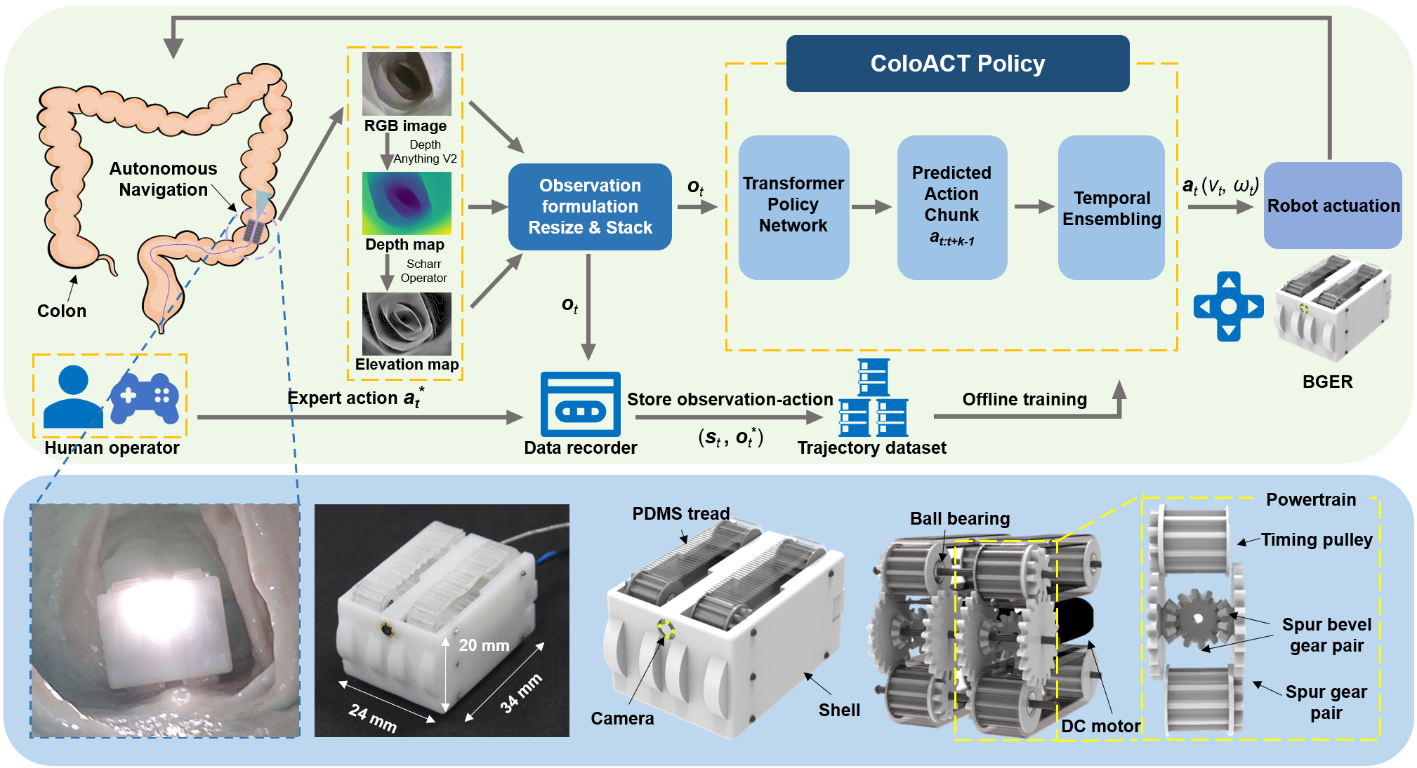 ColoACT method figure